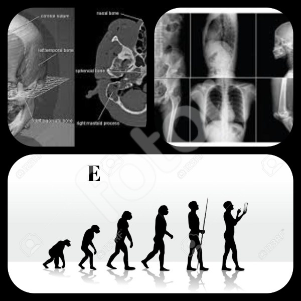 Primero BGU A BIOLOGÍA
